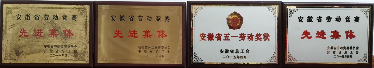 院获奖奖牌1