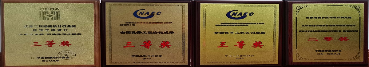 项目获奖奖牌2